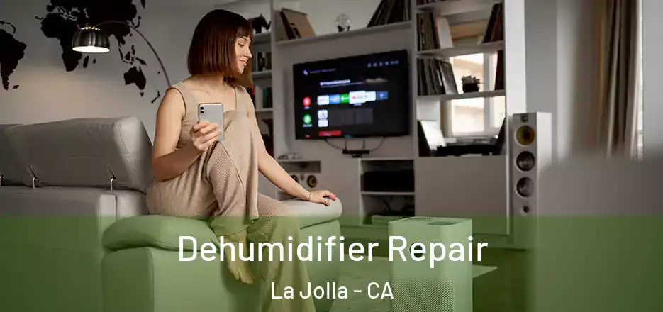  Dehumidifier Repair La Jolla - CA