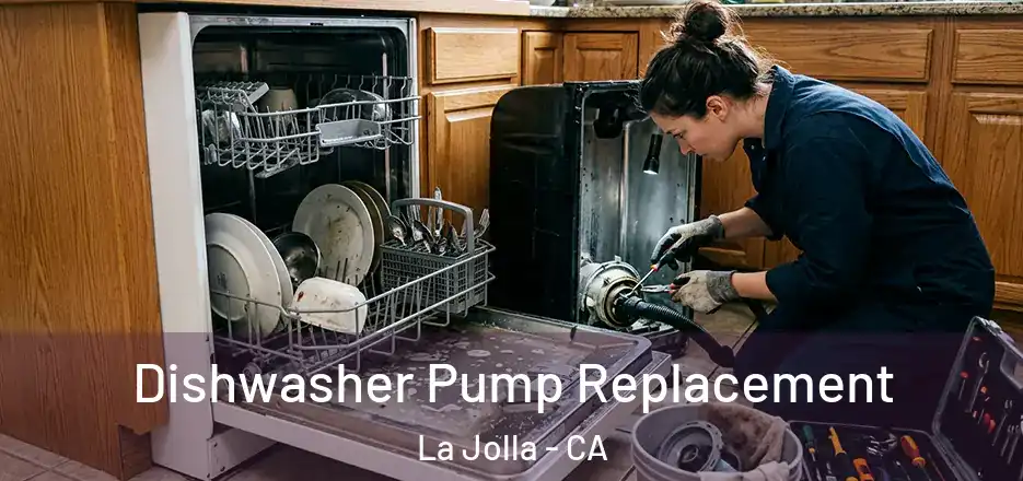 Dishwasher Pump Replacement La Jolla - CA